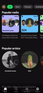 Spotify APK 2