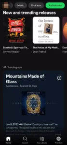 Spotify APK 6