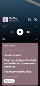 Spotify APK 7